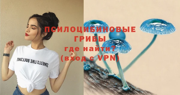 гашик Абинск